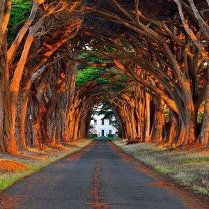 姐姐吃妹妹胸动漫
